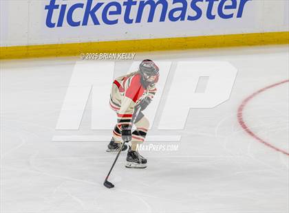 Thumbnail 2 in Hingham vs Bishop Stang (MIAA Division 1 Final) photogallery.