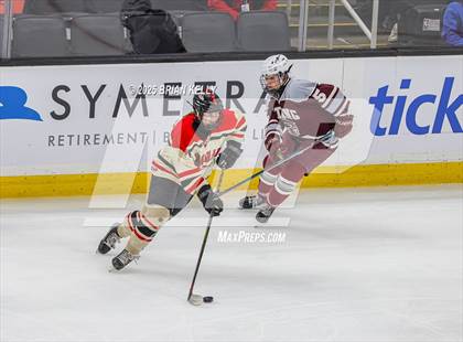 Thumbnail 3 in Hingham vs Bishop Stang (MIAA Division 1 Final) photogallery.