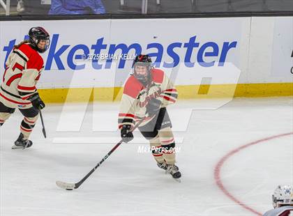 Thumbnail 2 in Hingham vs Bishop Stang (MIAA Division 1 Final) photogallery.