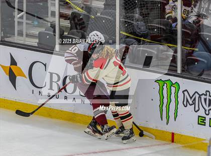 Thumbnail 1 in Hingham vs Bishop Stang (MIAA Division 1 Final) photogallery.