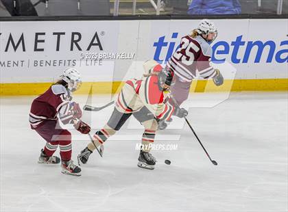 Thumbnail 3 in Hingham vs Bishop Stang (MIAA Division 1 Final) photogallery.