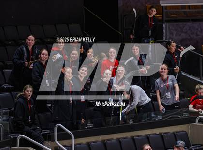 Thumbnail 1 in Hingham vs Bishop Stang (MIAA Division 1 Final) photogallery.