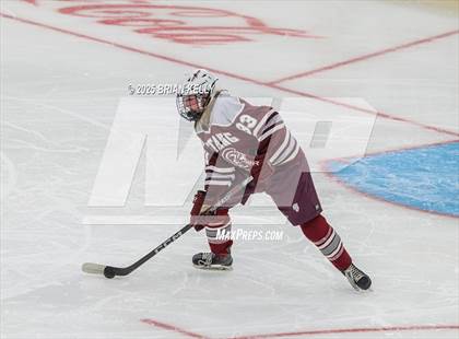 Thumbnail 1 in Hingham vs Bishop Stang (MIAA Division 1 Final) photogallery.