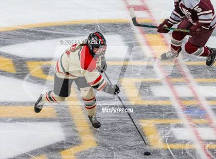 Thumbnail 1 in Hingham vs Bishop Stang (MIAA Division 1 Final) photogallery.