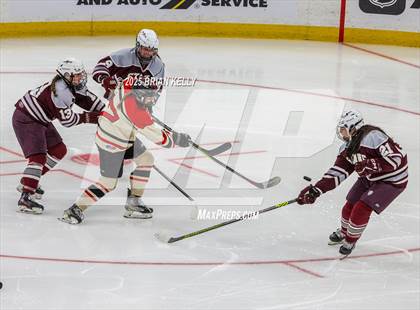 Thumbnail 1 in Hingham vs Bishop Stang (MIAA Division 1 Final) photogallery.