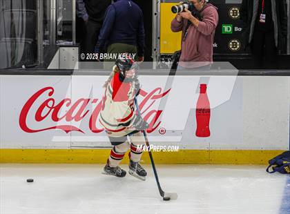 Thumbnail 1 in Hingham vs Bishop Stang (MIAA Division 1 Final) photogallery.