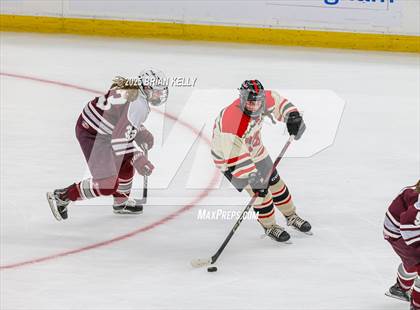 Thumbnail 3 in Hingham vs Bishop Stang (MIAA Division 1 Final) photogallery.