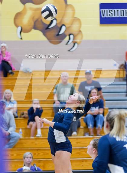 Thumbnail 2 in Woodlan @ Leo photogallery.