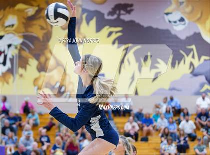 Thumbnail 3 in Woodlan @ Leo photogallery.