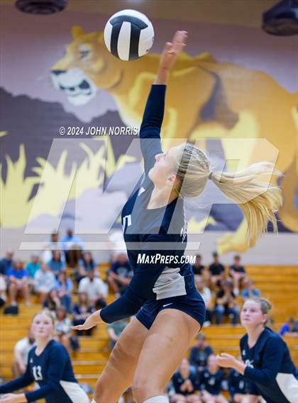 Thumbnail 3 in Woodlan @ Leo photogallery.