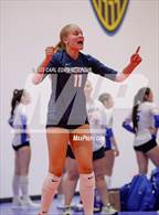 Photo from the gallery "Brentwood @ Blackman"