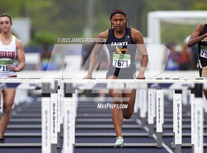 Thumbnail 1 in Bob Hayes Invitational (110 Meter Hurdles) photogallery.