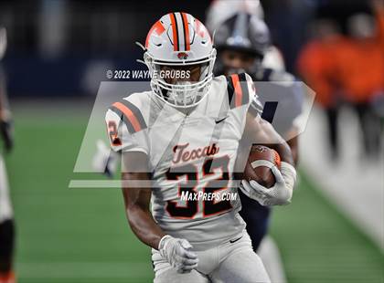 Thumbnail 2 in Texas vs. Lone Star photogallery.