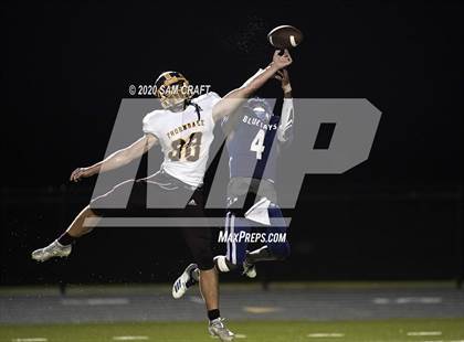 Thumbnail 3 in Thorndale @ Snook  photogallery.