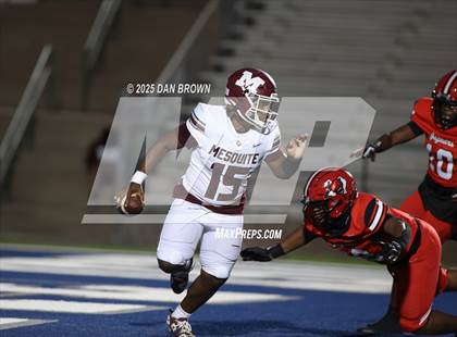 Thumbnail 1 in Mesquite @ Horn photogallery.
