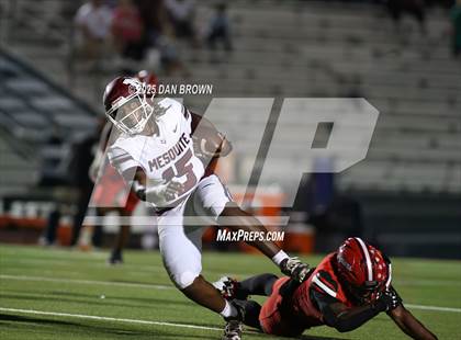 Thumbnail 2 in Mesquite @ Horn photogallery.