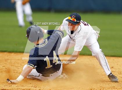 Thumbnail 3 in Soddy Daisy photogallery.