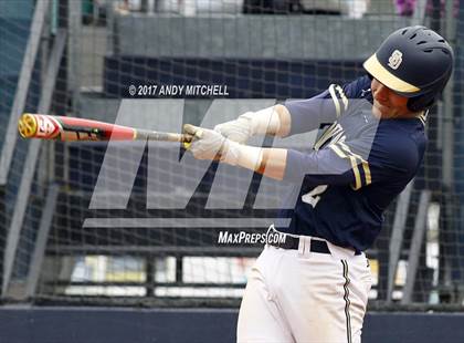 Thumbnail 3 in Soddy Daisy photogallery.