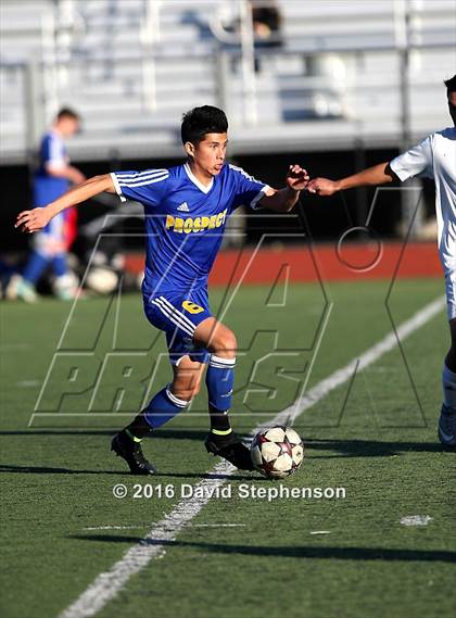 Thumbnail 3 in Prospect @ Oak Grove photogallery.