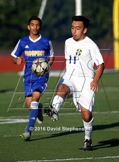Thumbnail 3 in Prospect @ Oak Grove photogallery.
