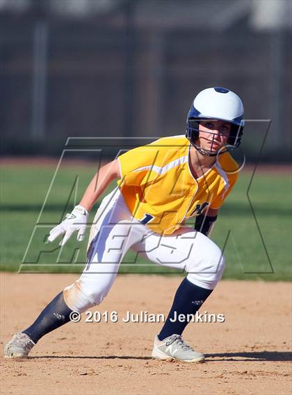 Thumbnail 1 in Borah @ Meridian photogallery.