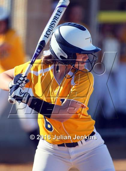 Thumbnail 3 in Borah @ Meridian photogallery.