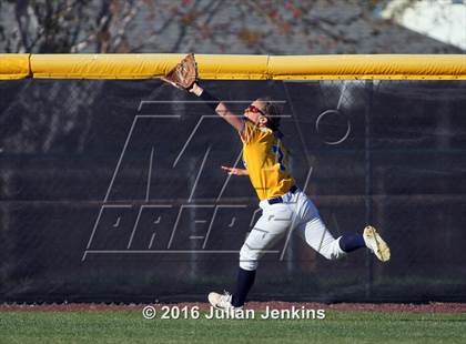 Thumbnail 3 in Borah @ Meridian photogallery.