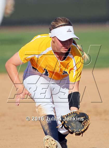 Thumbnail 2 in Borah @ Meridian photogallery.