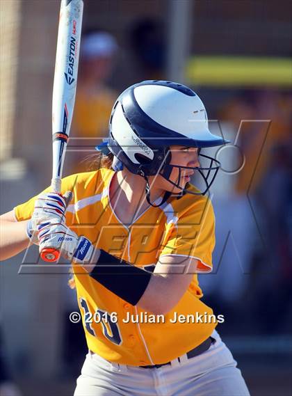 Thumbnail 2 in Borah @ Meridian photogallery.
