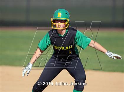 Thumbnail 3 in Borah @ Meridian photogallery.