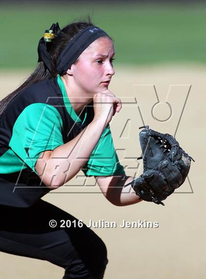 Thumbnail 3 in Borah @ Meridian photogallery.