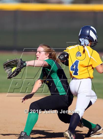 Thumbnail 3 in Borah @ Meridian photogallery.