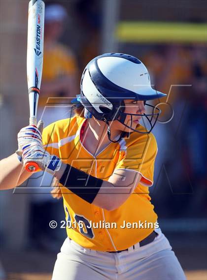 Thumbnail 3 in Borah @ Meridian photogallery.