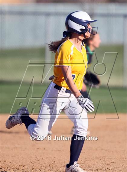 Thumbnail 2 in Borah @ Meridian photogallery.