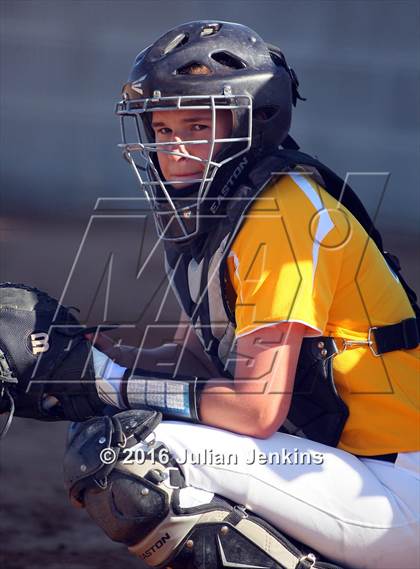Thumbnail 3 in Borah @ Meridian photogallery.
