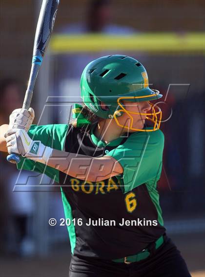 Thumbnail 1 in Borah @ Meridian photogallery.