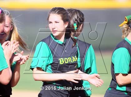 Thumbnail 1 in Borah @ Meridian photogallery.