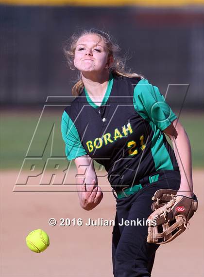Thumbnail 1 in Borah @ Meridian photogallery.