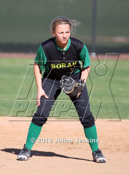 Thumbnail 3 in Borah @ Meridian photogallery.