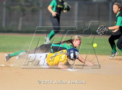 Thumbnail 3 in Borah @ Meridian photogallery.