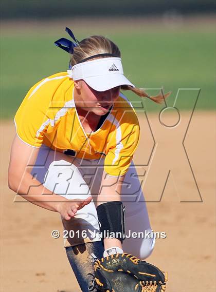 Thumbnail 3 in Borah @ Meridian photogallery.