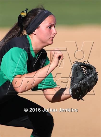 Thumbnail 1 in Borah @ Meridian photogallery.