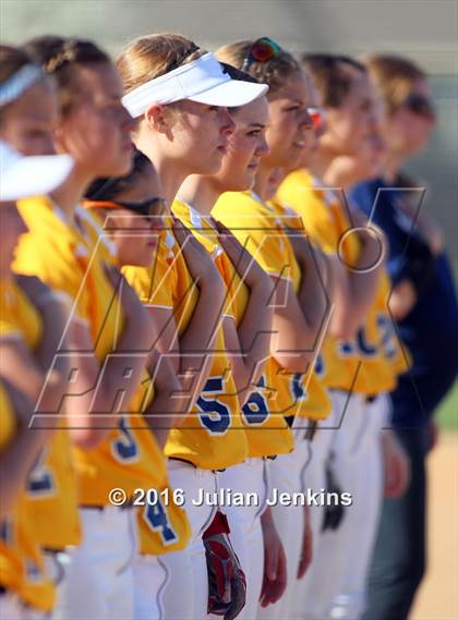 Thumbnail 3 in Borah @ Meridian photogallery.