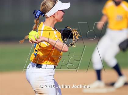 Thumbnail 3 in Borah @ Meridian photogallery.