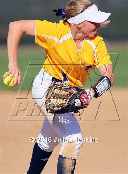 Thumbnail 1 in Borah @ Meridian photogallery.