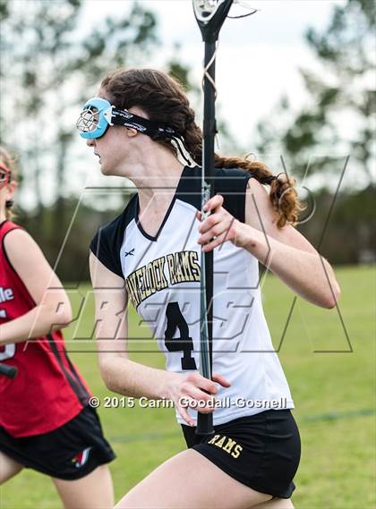 Thumbnail 2 in Jacksonville @ Havelock photogallery.