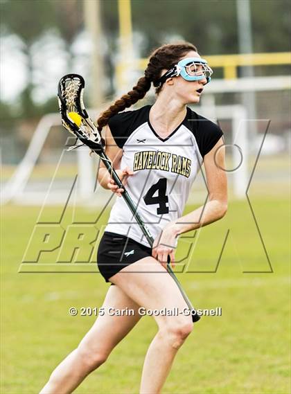 Thumbnail 2 in Jacksonville @ Havelock photogallery.