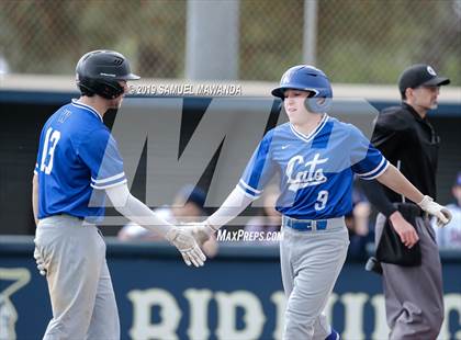 Thumbnail 3 in Windward vs Viewpoint photogallery.