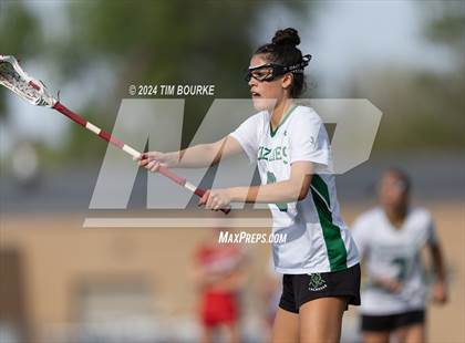 Thumbnail 2 in Fairview vs. ThunderRidge (CHSAA 5A Semifinal) photogallery.