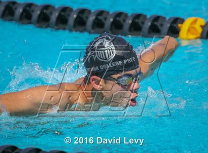 Thumbnail 1 in Chandler Invitational photogallery.